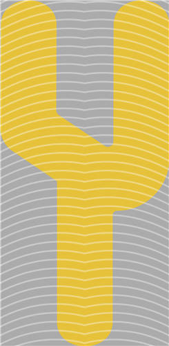 NBA and Team-QD 1963